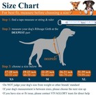 Vivaglory New Sports Style Ripstop Dog Life Jacket Safety Vest -many Color  size