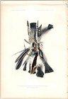 1904 Zuni Indian Great Fire Fraternity Winter Solstice Plumes Heliotype Print