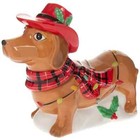 Cowboy Holiday Dachshund Dog Wiener Dog Cookie Jar Christmas Lights New