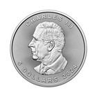 Canada Maple Leaf 9999 Fine Silver 1 Oz Argent Pur Collector Coin