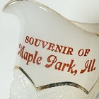 Maple Park  Illinois Il Uranium Antique Custard Glass Souvenir Gold Creamer
