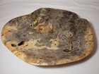 Hand Carved Buckeye Burl Deep Bowl Platter Display Turning Wood One Of A Kind