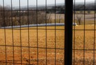 4 x100  14ga Galv Steel Black Pvc Coated Welded Wire 2  x4   Mesh - Animal Fence