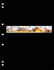  5 00 Scott Value - 2004 Oman Arabian Leopards Wildlife Scarcer Mnh Nh Umm