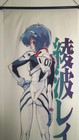  big Tapestry Wall Scroll  Rei Ayanami Neon Genesis Evangelion From Japan