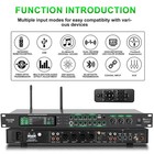 Ax-666 Professional Karaoke Processor Ktv Mixer With Dual Wireless Microphone   