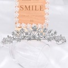 Bridal Floral Girl Tiara Rhinestone Crystal Wedding Crown Silver