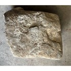 Shell Fossil Natural Stone Rock Specimen Unknown Type