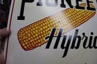 Rare 1950s Pioneer Hybrid Corn Painted Metal Seed Feed Dealer Store Sign Cob Gas