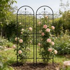 2 Pack Metal Garden Trellis 71  X 19 7  Rustproof Trellis For Climbing Plants Ou