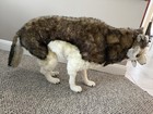 Hansa Jumbo 43    Long Timber Husky Wolf Rare