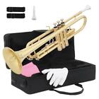 New Beginner Gold Lacquer Brass Bb Trumpet W  Case For Student School Band