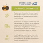 Bulk Superworms 300 Count Large Live Reptile Bird Food Feed Set Pcs