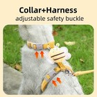 Cartoon Bee Cat Harness Leash Set Adjustable Breakaway Vest Small Medium Pet Usa