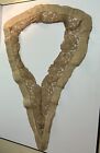 Vintage Antique Victorian Handmade Embroidered Lace Collar Trim 20s Taupe Tan