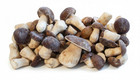Italian Frozen Porcini Mushrooms Whole     1kg  2 2lb  Gourmet Quality