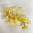 Nature Techni Colour Mini Figure Magnet Leafy Seadragon Ivory Color Kitan Club