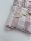 Pottery Barn Teen Cabana Stripe Ruffle Euro Sham