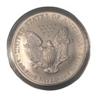 2004 1 Oz American Silver Eagle  999 Fine Silver Dollar Coin Brilliant Unc