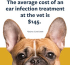 Cat Dog Ear Drops Infection Antibiotic Treatment Medicine Yeast Fungus Itching