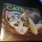 Cat Calendar 2018  16 Month Calendar  new And Sealed 