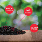 10 Lbs  Nyjer Seed Wild Bird Seed Finch Food