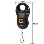 Fdit Portable 50kg 10g Lcd Digital Hanging Weight Electronic Luggage Hook Scale