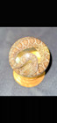 Real Taxidermy Western Diamondback Rattlesnake 3 1 8 In Globe Wet Specimen
