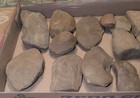 Mazon Creek 14 Authentic Unopened Nodules