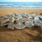 Bulk Sea Pottery  Sea Pottery Lot  Blue And White Sea Pottery Lot   41 