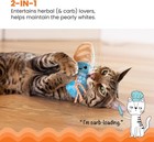 Loaf Cat Kicker Toy With Catnip Dental Mesh Plush Bread Shape For Cats