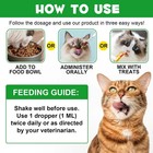 Antibiotics For Cats  Natural Cat Cats