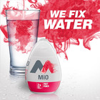 Mio Fruit Punch Flavored Liquid Water Enhancer - Free Shipping