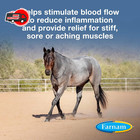 Farnam Vetrolin Horse Liniment For Muscle Soreness  Stiffness And Inflammation R
