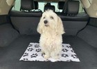 Ezee visit Black   White Dog Paw Print Pet Vet Mat - Standard