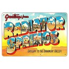  8x12 Inches Radiator Springs Twine - Metal Wall Decor Tin Sign Plaque Art 