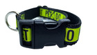 Small Do Not Pet Collar 3 4  Width  Adjustable Cat Collar  Small Pet Collar