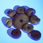 Antique Tibetan Baltic Amber Beads Lot Genuine Ancient Himalayan Honey Patina
