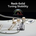 Vega Trem Vt1 Special Standard Tremolo Bridge For Strat-style Guitars       