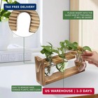 Heart Shaped Plant Propagation Station Terrarium Glass Vase Wooden Stand Gift