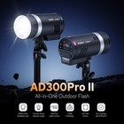 Godox Ad300pro Ii Outdoor Flash 2 4g 300ws Ttl 1 8000s Portable Flash Monolight