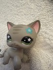 Rare Littlest Pet Shop  483 Gray Cat Green Eyes Shorthair Lps Blue Flower Bobble