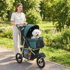 Pet Stroller Foldable 4-wheel All Terrain - Small Dog   Cat Carrier - Green