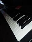 Williams Legato 88-key Digital Piano