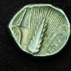 Lucania  Metapontum - 340-330 Bc  Ar Nomos stater   Ancient Greek Silver 
