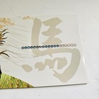 Singapore Mnh Stamps Presentation Pack Year Of The Horse - 10 January 2002