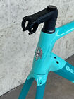 Bianchi Infinito Cv Carbon Road Bike Disc Frameset