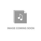 Ibanez Performance Pf28ece Dreadnought Cutaway Acoustic-electric Guitar