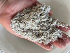 Crushed Fine White Oyster Shell     Chickens  Soil  Bocce Court  bulk 