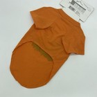 Halloween Dog Shirt Outfit Medium M New Tee T-shirt Clothes